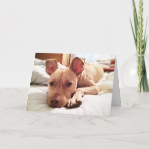 Folded Leon Wenskaart Kaart