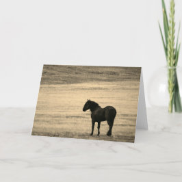 Folded Note Card Black Stallion ONAqui HERD UTAH Notitiekaartje
