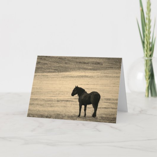 Folded Note Card Black Stallion ONAqui HERD UTAH Notitiekaartje (Voorkant)