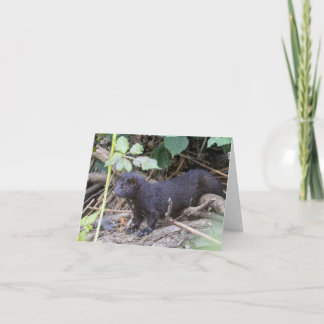 Folded Thank You Card Bedankkaart