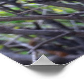 folders over twijgen poster (Hoek)