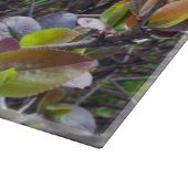 folders over twijgen snijplank (Hoek)