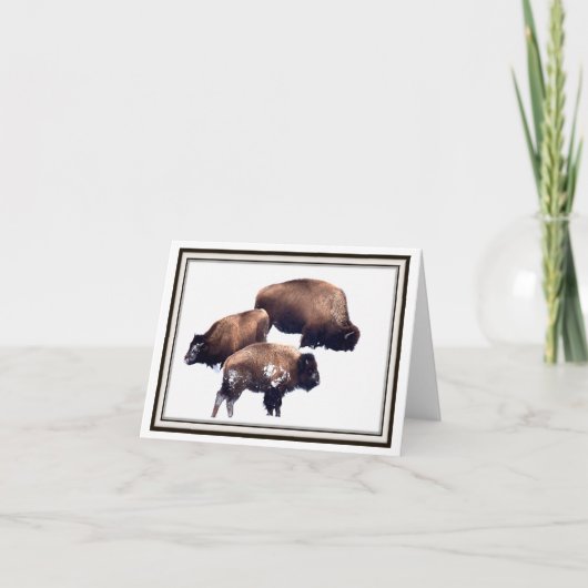 Folding Greeting Card - Bison in Winter Kaart (Voorkant)