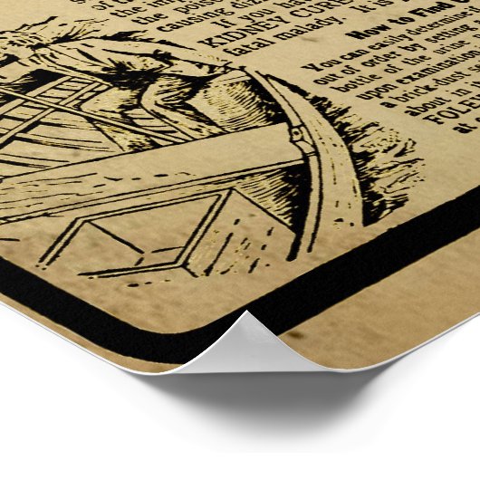  Foley's Kidney Cure Brights Print (Hoek)