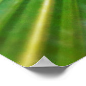 folhas de palmeira poster (Hoek)