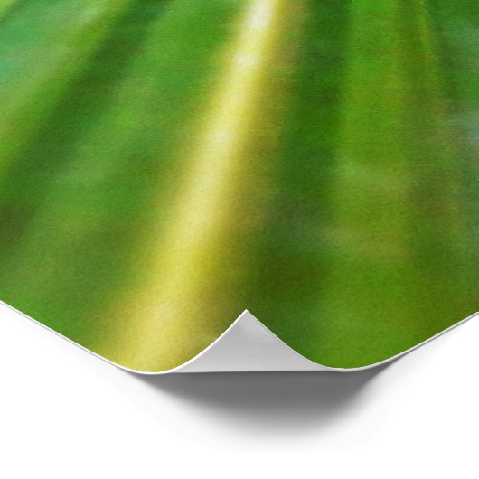 folhas de palmeira poster (Hoek)