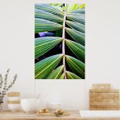 folhas de palmeira poster (Keuken)