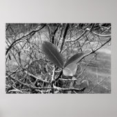 folhas em vida1 poster (Voorkant)