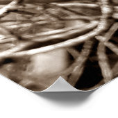 folhas em vida2 poster (Hoek)