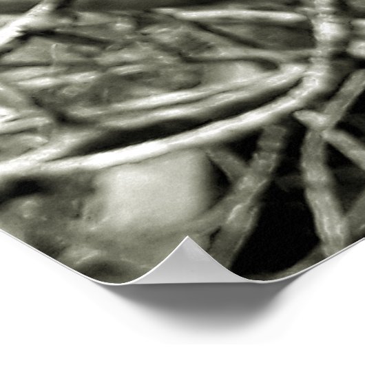 folhas em vida3 poster (Hoek)