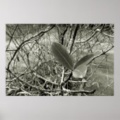 folhas em vida3 poster (Voorkant)