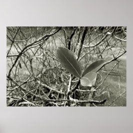 folhas em vida3 poster