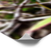 folhas em vida4 poster (Hoek)