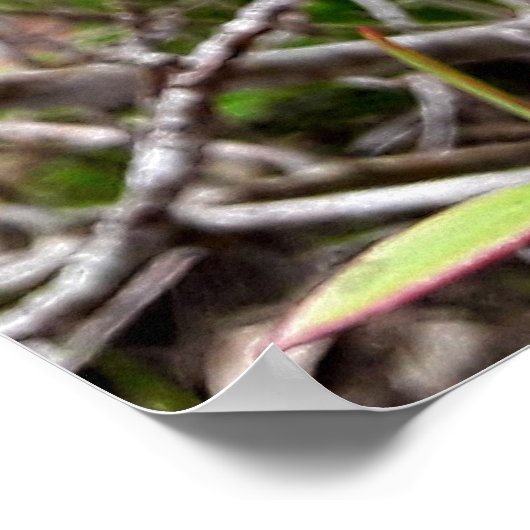 folhas em vida poster (Hoek)