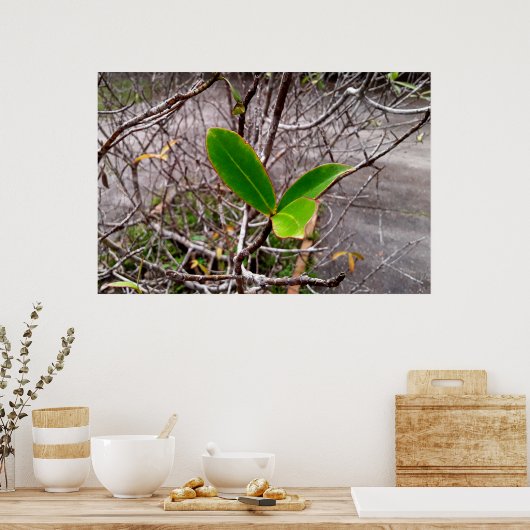 folhas em vida poster (Keuken)