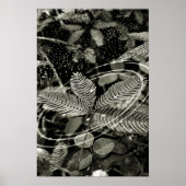 Folhas - Green Poster (Voorkant)