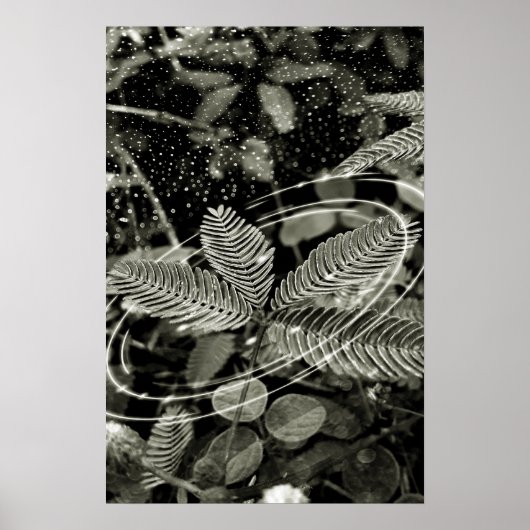 Folhas - Green Poster (Voorkant)