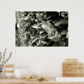 folhas poster (Keuken)