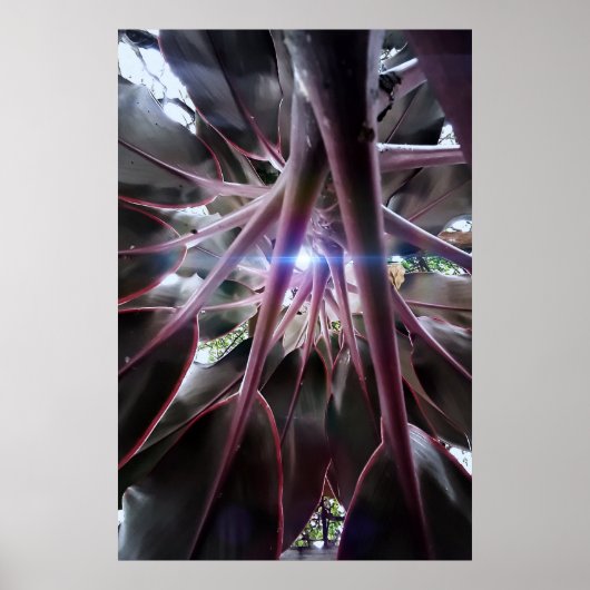 folhas roxas poster (Voorkant)