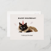 Foli kaart Happy Birthday Cat Funny (Voorkant / Achterkant)