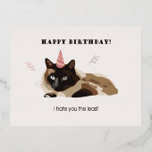 Foli kaart Happy Birthday Cat Funny (Voorkant)