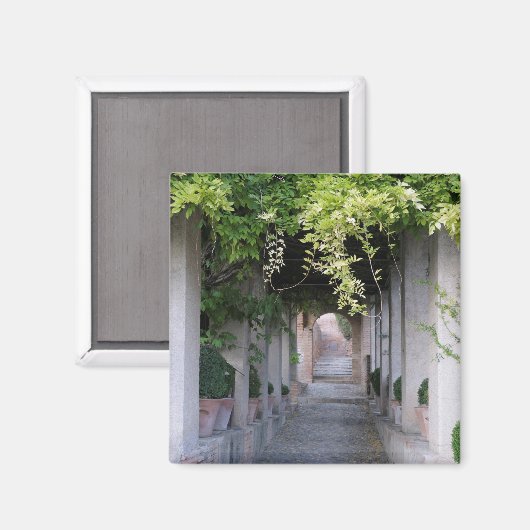 Foliage Covered Walkway, Spanje Magneet (Voorkant / Achterkant)