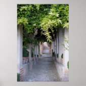 Foliage Covered Walkway, Spanje Poster (Voorkant)