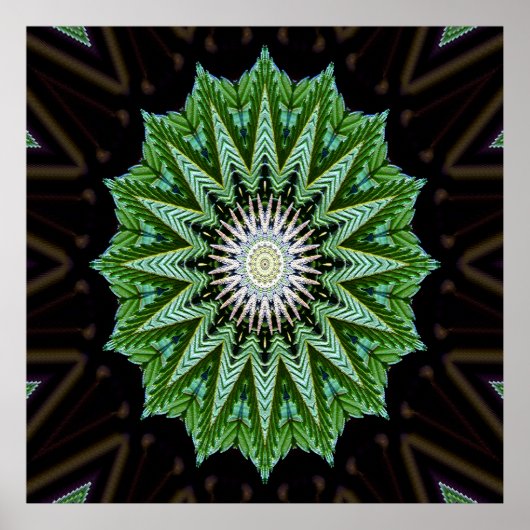Foliage Mandala...... Poster (Voorkant)