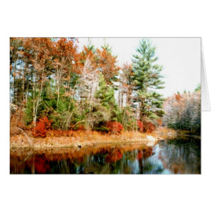 Foliage Reflections Lakeview
