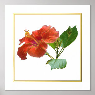 Folie Accent Red Hibiscus Flower Print