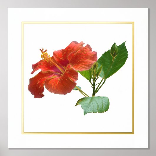 Folie Accent Red Hibiscus Flower Print (Voorkant)