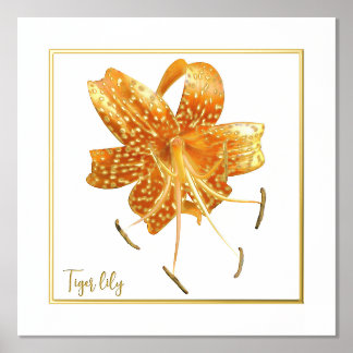 Folie Accent Tiger lily Print Poster