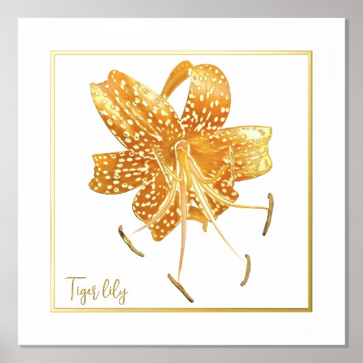 Folie Accent Tiger lily Print Poster (Voorkant)