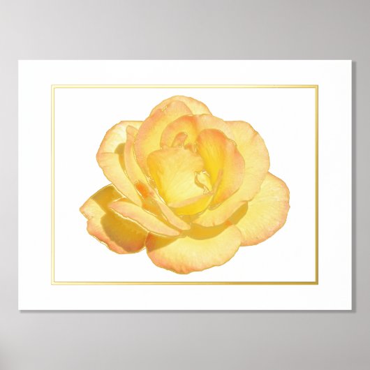 Folie Acent Yellow Rose Print Poster (Voorkant)