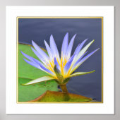 Folie Actief gele en lavender Water Lily Print (Voorkant)