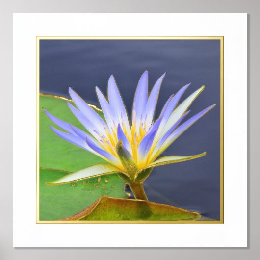 Folie Actief gele en lavender Water Lily Print (Voorkant)