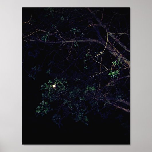 FOLIE DRUK KUNST- EN ONTWERPSTIJLEN AFDRUKKEN (Voorkant)