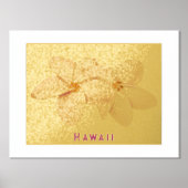 Folie Hawaii Plumeria Flower Print (Voorkant)