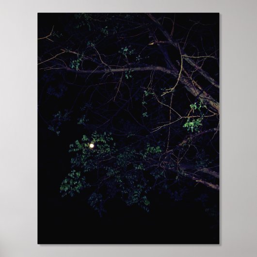 FOLIE PRINT KUNST EN DESIGN STIJLEN (Voorkant)