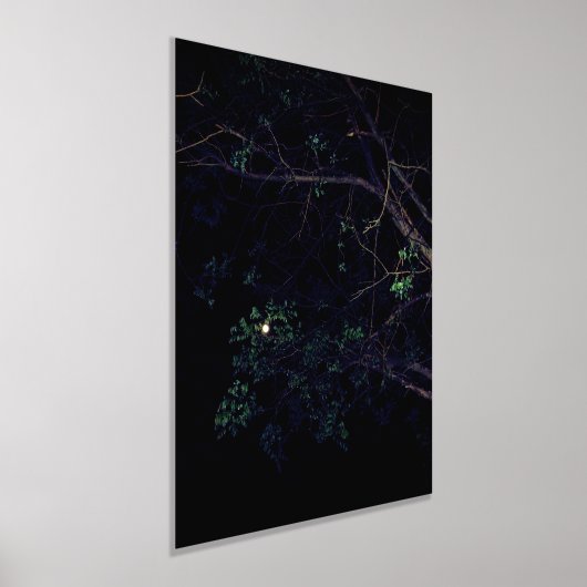 FOLIE PRINT KUNST EN DESIGN STIJLEN (Laagn)