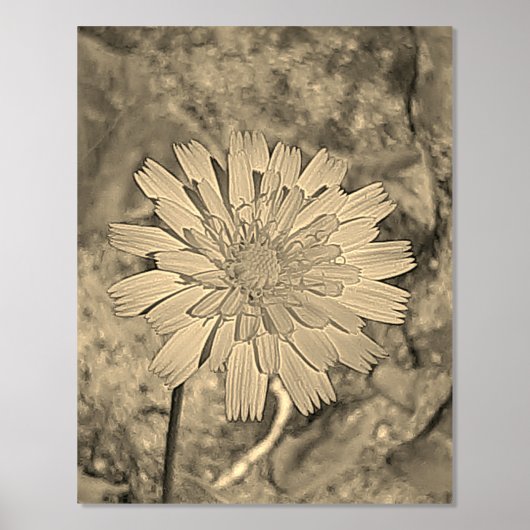 FOLIE PRINT POSTER KUNST EN DESIGN (Voorkant)