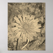 FOLIE PRINT POSTER KUNST EN ONTWERP  (Voorkant)
