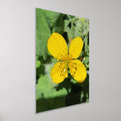 FOLIE PRINT POSTER KUNST EN ONTWERP  (Laagn)