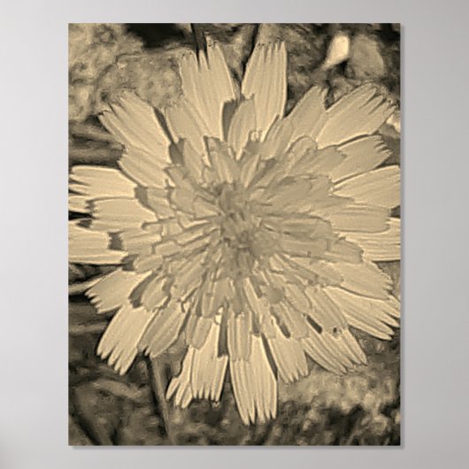 FOLIE PRINT POSTER KUNST EN ONTWERP  (Voorkant)