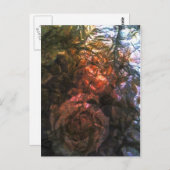 Folie Rozen Briefkaart (Voorkant / Achterkant)