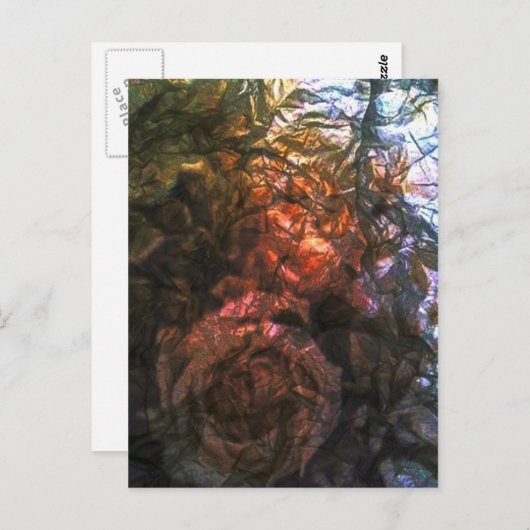 Folie Rozen Briefkaart (Voorkant / Achterkant)