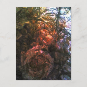 Folie Rozen Briefkaart