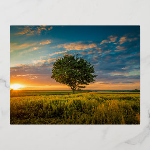 Folie Vakantiepagskaart Feestdagen Briefkaart