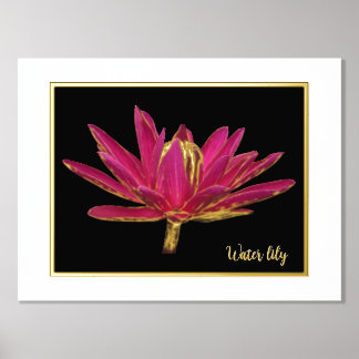 Folie Water Lily Print Poster