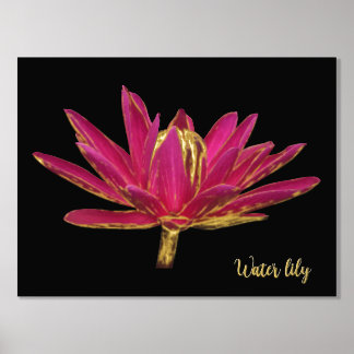 Folie Water Lily Print Poster